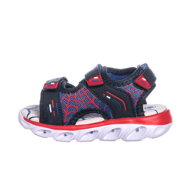 Wingy Navy Royal/Red